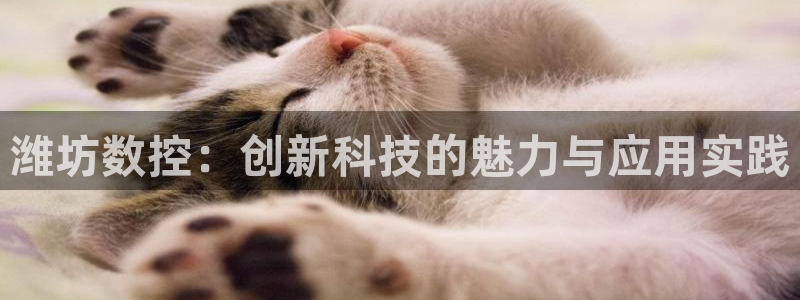 天辰娱乐代理