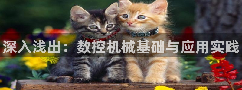 天辰娱乐所
