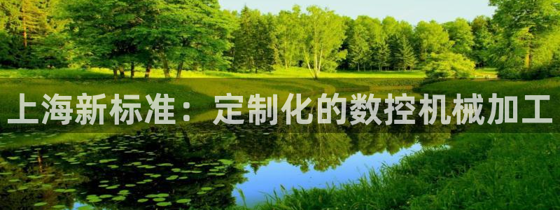天辰娱乐 849852