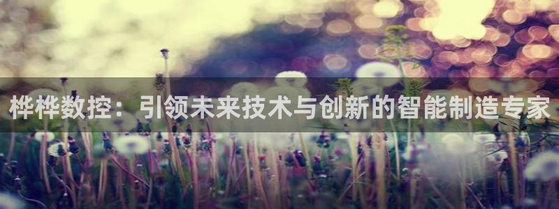 天辰娱乐挂机