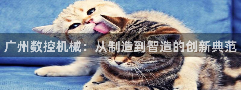 天辰娱乐传媒