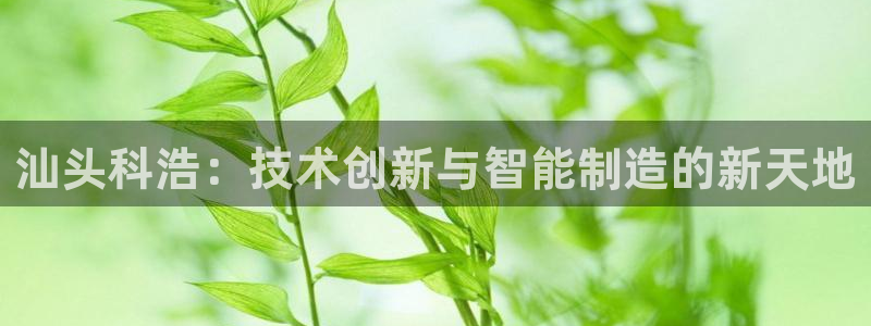 nba天辰娱乐