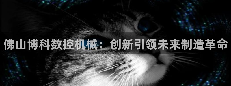 天辰娱乐平台app下载
