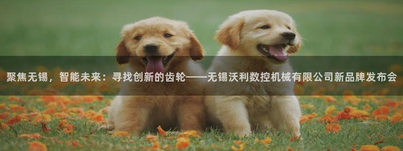 深圳天辰娱乐
