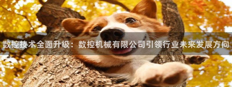 天辰娱乐地址：数控技术全面升级：数控机械有限公司引领行业未来发展方向