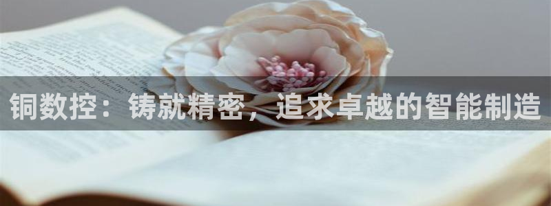 天辰娱乐说