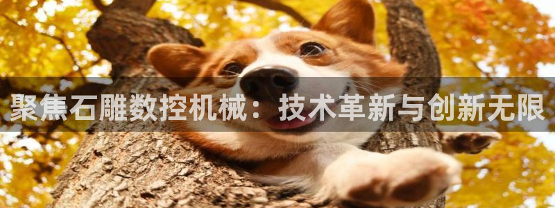 天辰娱乐测试：聚焦石雕数控机械：技术革新与创新无限