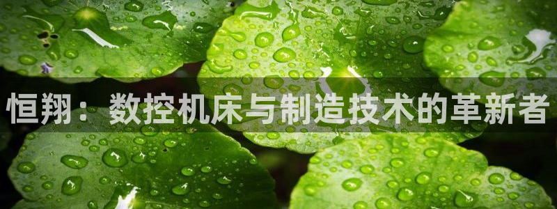 大庆天辰娱乐：恒翔：数控机床与制造技术的革新者