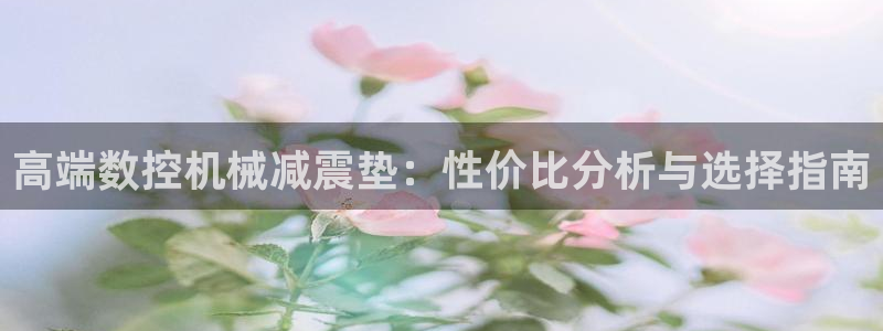 天辰娱乐测速：高端数控机械减震垫：性价比分析与选择指南