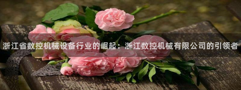 天辰娱乐游戏平台怎么样