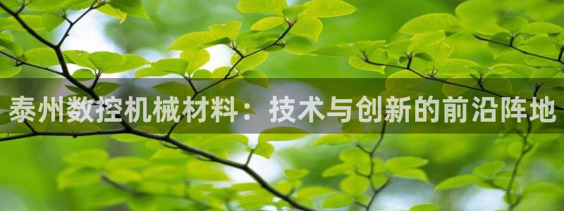 天辰娱乐网址娱乐游戏
