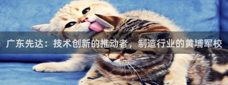 天辰娱乐海洋
