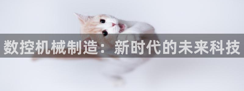 天辰娱乐APP下载