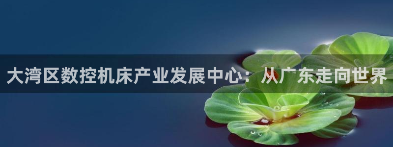 腾讯天辰娱乐:大湾区数控机床产业发展中心:从广东走向世界