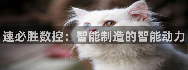 天辰娱乐平台登录账号:速必胜数控:智能制造的智能动力