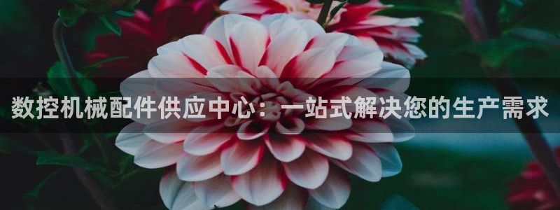 天富娱乐与天辰娱乐