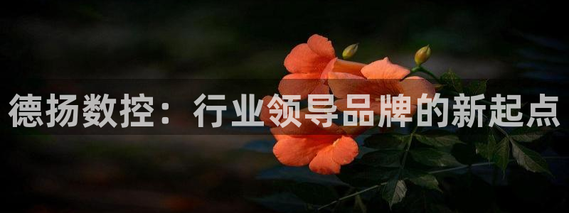 天辰娱乐游戏平台怎么样