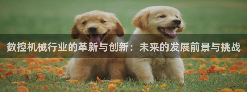 天辰辰娱乐代理