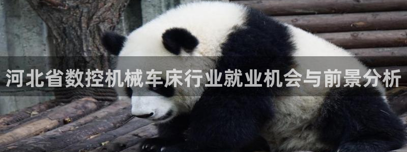 手机上怎么下载天辰娱乐