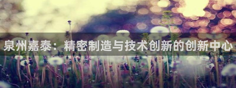 天辰娱乐天辰宝