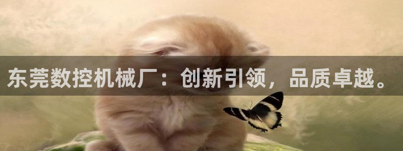 天辰娱乐平台入口