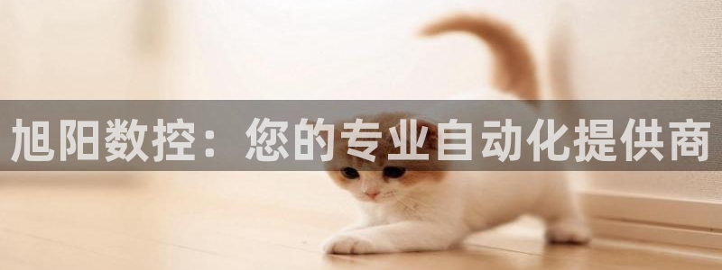 天辰娱乐下载地址