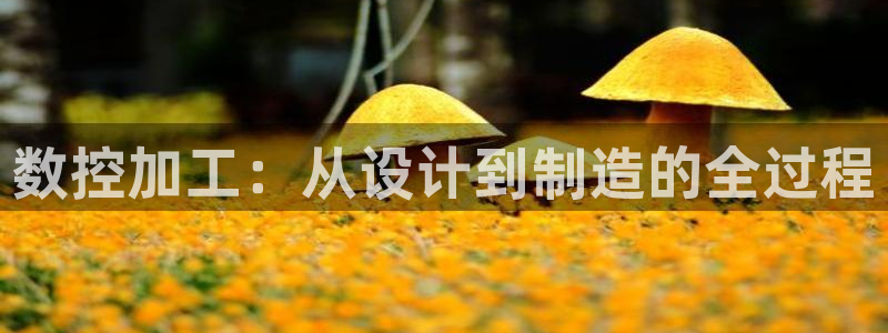 辰天娱乐用品:数控加工:从设计到制造的全过程