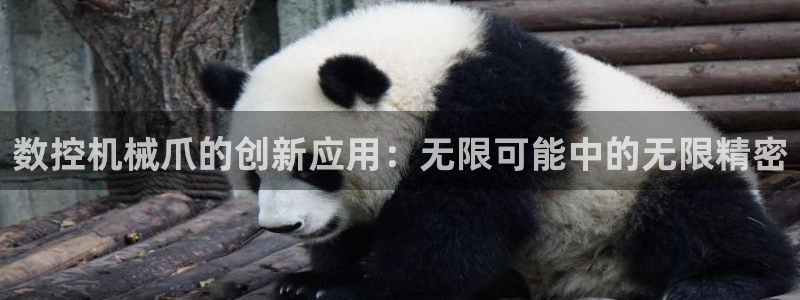 天辰娱乐登陆平台