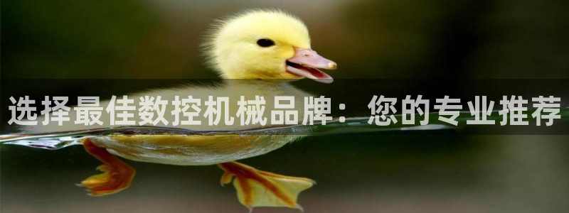 天辰娱乐平台地址