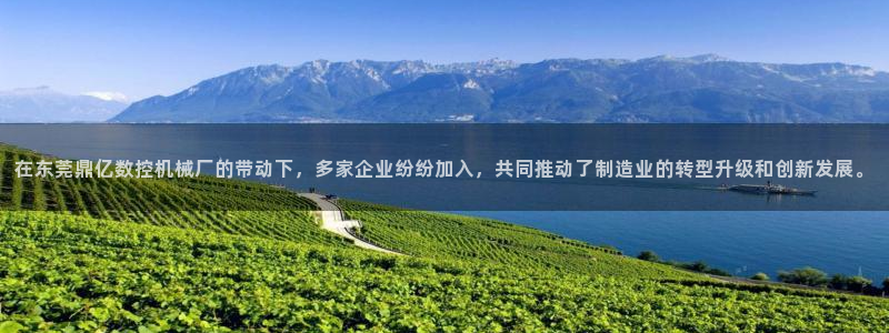 天辰娱乐平台地址