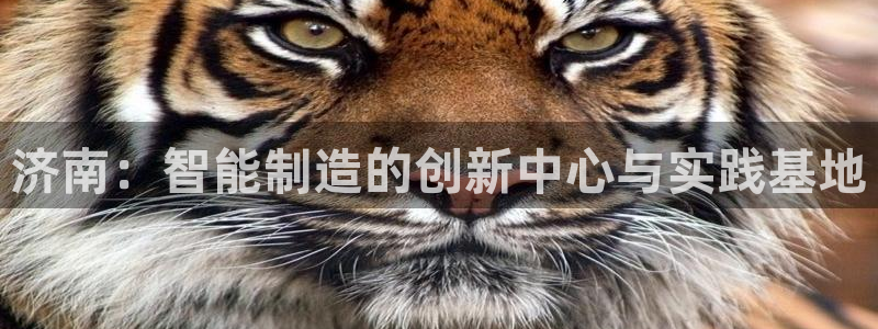 集宁天辰娱乐