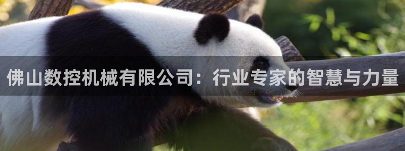 天辰天富娱乐