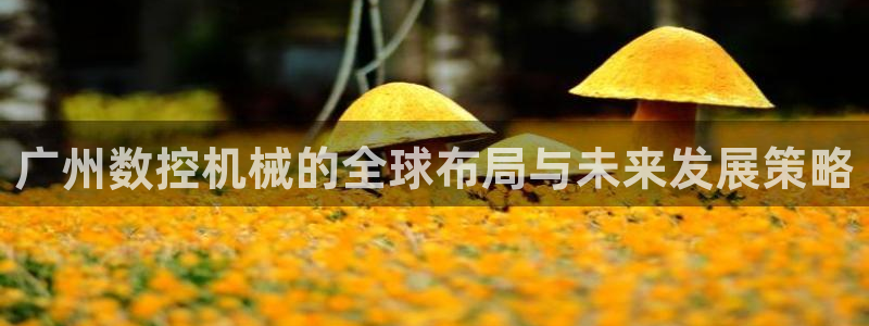天辰娱乐解封