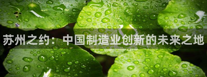 天辰娱乐_ 18113