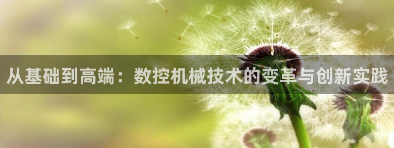 天辰娱乐输了