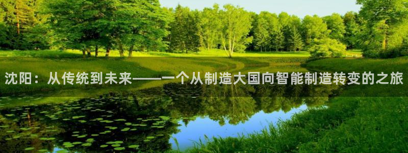 天辰娱乐黑人：沈阳：从传统到未来——一个从制造大国向智能制造转变的之旅