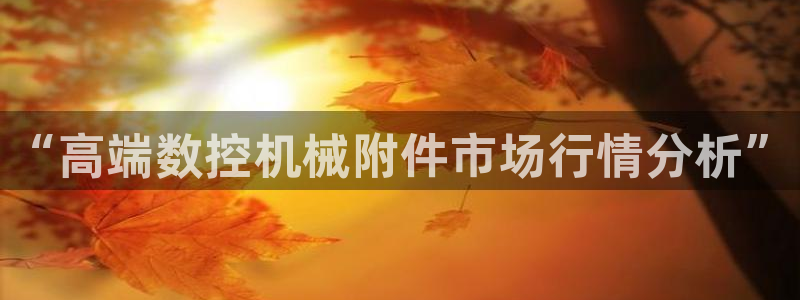 天辰娱乐挂机