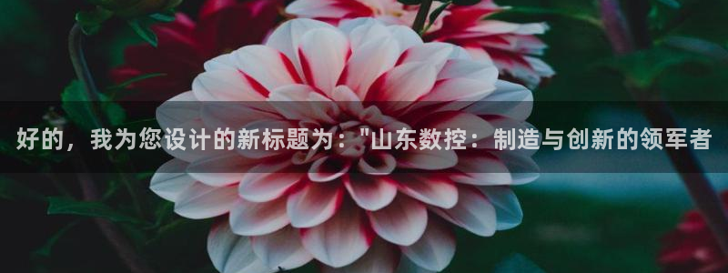 天辰娱乐测速：好的，我为您设计的新标题为：\