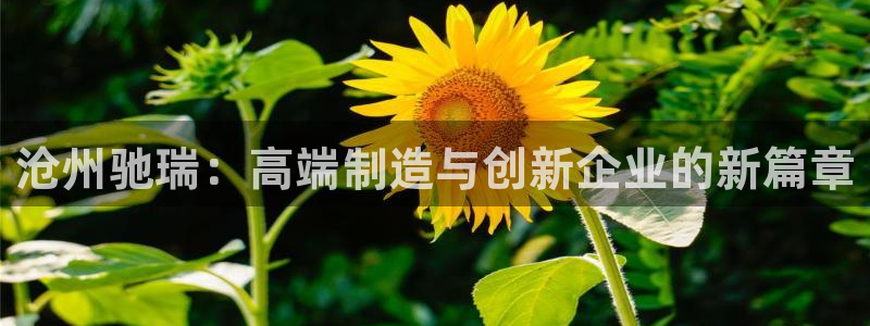 腾讯天辰娱乐