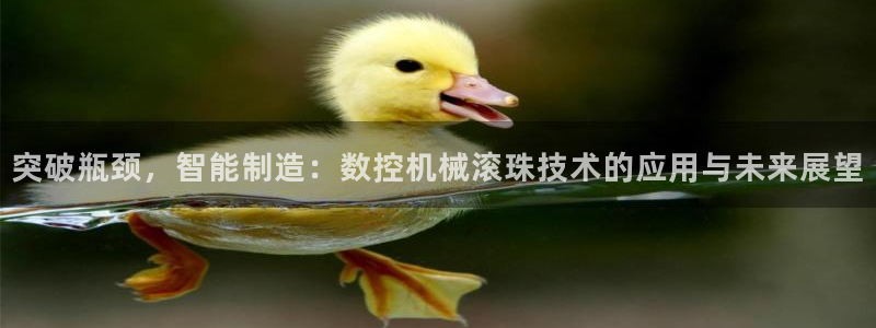 天辰娱乐分红
