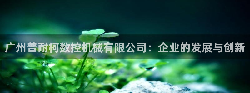 辰天娱乐用品
