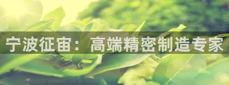 天辰娱乐首页：宁波征宙：高端精密制造专家