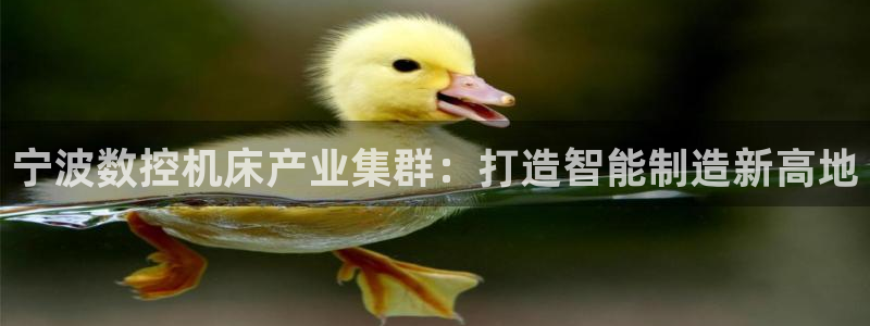 天辰(娱乐注册：宁波数控机床产业集群：打造智能制造新高地