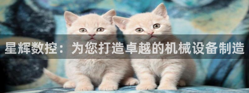 哈尔滨天辰娱乐：星辉数控：为您打造卓越的机械设备制造