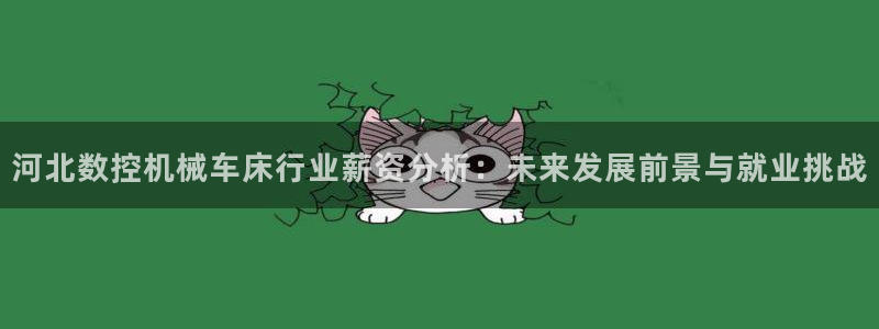 天辰娱乐61116:河北数控机械车床行业薪资分析:未来发展前景与就业挑战