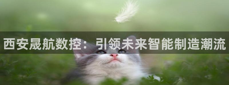 天辰娱乐7天22650